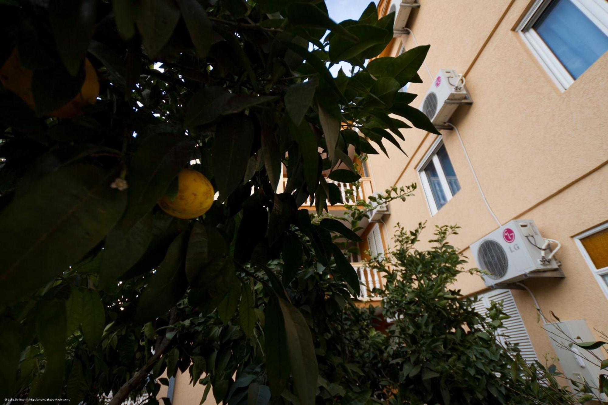 Apartments Dalila Ulcinj Exteriér fotografie