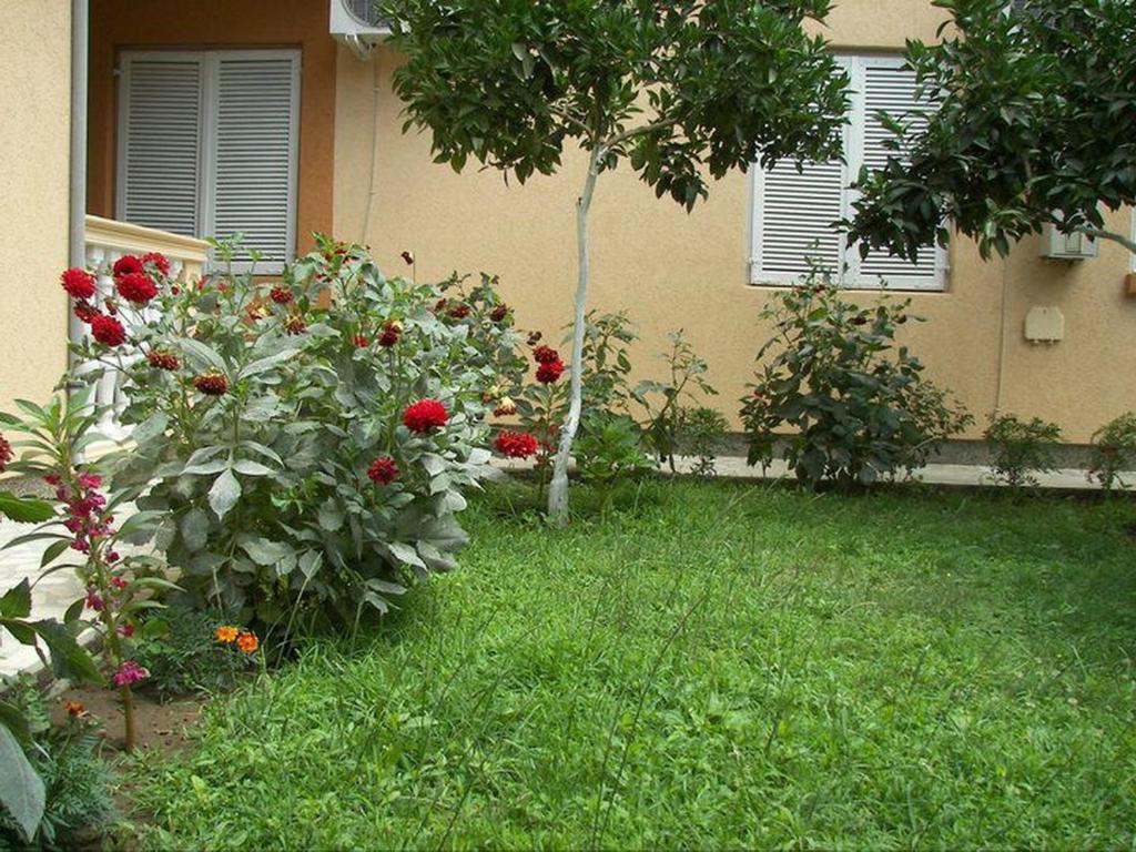 Apartments Dalila Ulcinj Pokoj fotografie